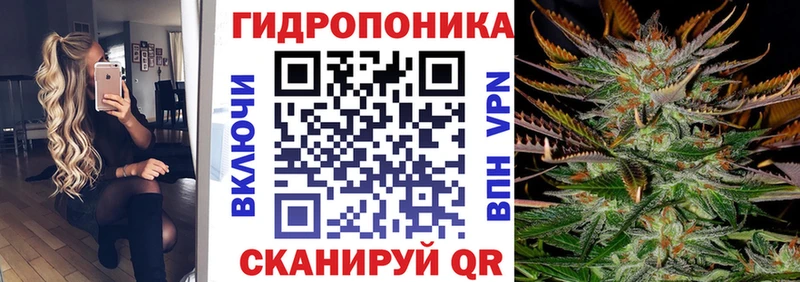 Бошки марихуана тримм  где найти наркотики  Фролово 